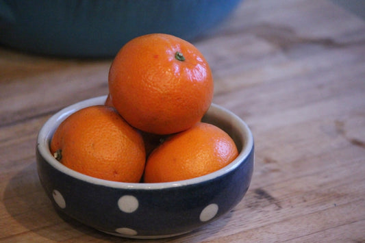 Teshigoto Dot Bowl Mino Ware